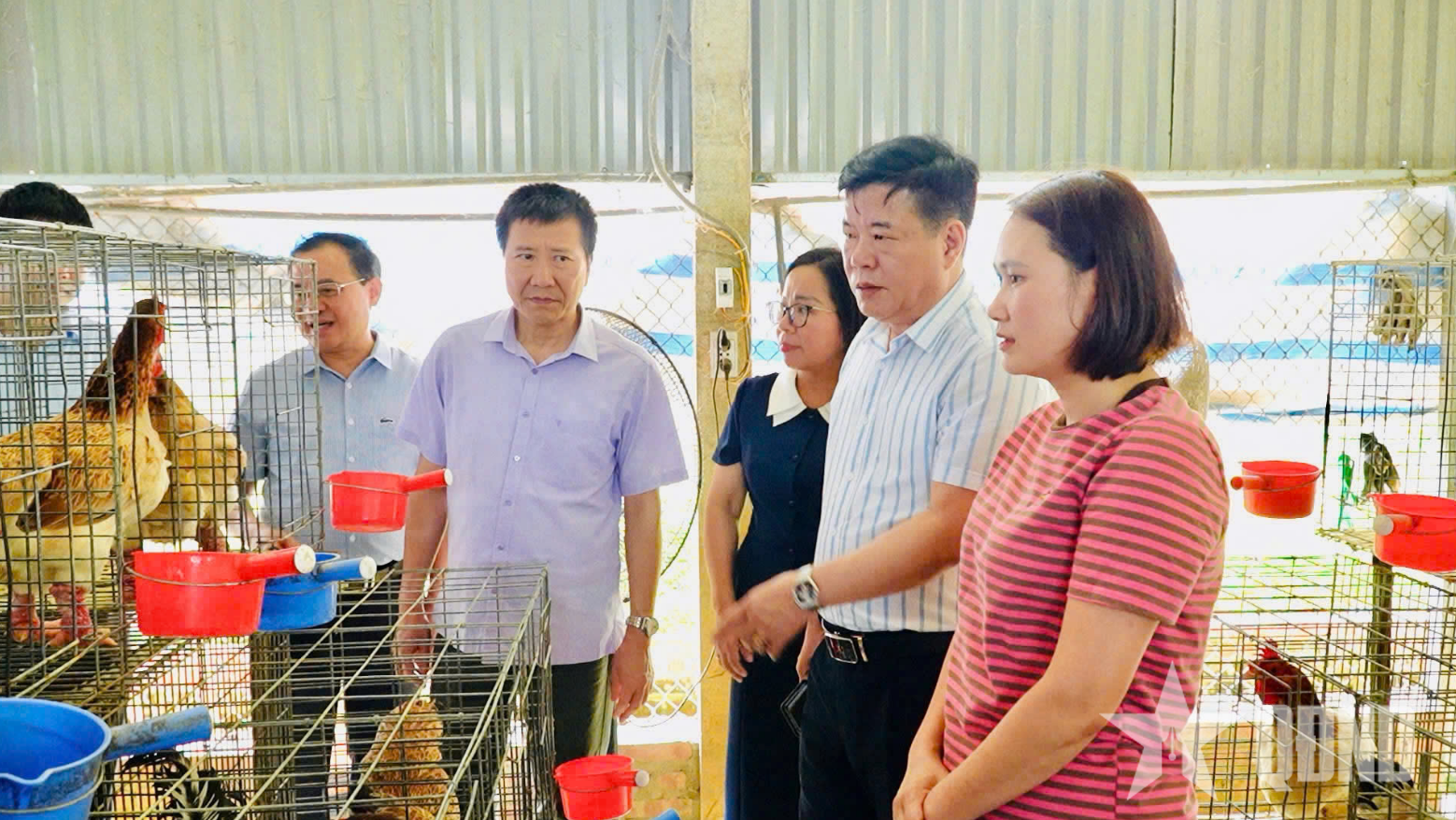 Thay đổi tư duy sản xuất ở vùng cao Lào Cai